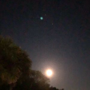 Meet your Posher, Mary e